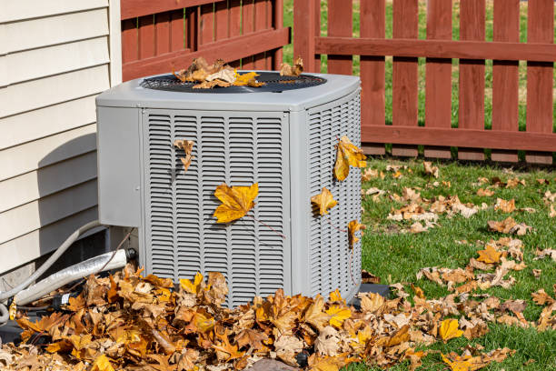 Best Best HVAC companies  in Verandah, FL